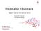 Vindmøller i Danmark. Møde i Darum 25 februar 2015. Niels-Erik Clausen DTU Wind Energy