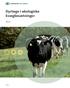 Dyrlæge i økologiske kvægbesætninger