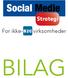 Social Medie. Strategi B2C BILAG