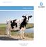 Program 2011/12. Kvægmineraler. inspiration. tillid. vækst www.vilomix.dk