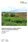 Etablering af vådområder på Sydfalster, Bøtø Nor Teknisk forundersøgelse og projektforslag. Guldborgsund Kommune Natur og Miljø Januar 2014