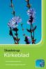 Skødstrup. Kirkeblad. Koncert med kinesisk marimba side 7. Forsvar for sorg ved sognepræst Lise Trap side 9