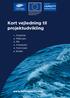 Kort vejledning til projektudvikling