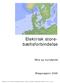 Elektrisk storebæltsforbindelse. Miljø og myndighed. Bilagsrapport 2005