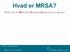 Hvad er MRSA? MRSA står for Methicillin Resistent Staphylococcus aureus