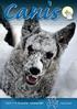 Et hundefagligt tidsskrift for aktive hundeejere. Årgang 13. Nr. 6/10. Canis vi forandrer hundeverden! www.canis.dk