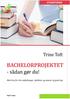 BACHELORPROJEKTET - sådan gør du!