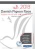 www.dapirace.com Finalen Danish Pigeon Race 2013 Den 31. august fra kl. 10.00. Askelund, Aabenraa Danmark