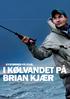 KYSTØRRED PÅ FLUE: I KØLVANDET PÅ BRIAN KJÆR