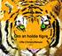 Om at holde tigre Uffe Christoffersen