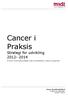 Cancer i Praksis. Strategi for udvikling 2012-2014. Nære Sundhedstilbud Kvalitet og Lægemidler Cancer i Praksis