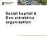 Social kapital & Den attraktive organisation