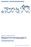 AUL TEMAGRUPPE 4 ORGANISERING. Rapport fra temagruppe 4: Organisering. Aarhus University Libraries