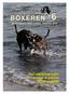 BOXEREN 6. Nye udstillingsregler Artikler & billeder Brughunde DM. Medlemsblad for Boxer-klubben December 2010 BOXEREN 1