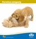 Farmina company. superpremium foder til dit kæledyr. www.farmina-petfoods.dk. Happy pet. Happy You.