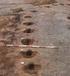 Tinggård 1 og 2. Gravhøj med grave fra yngre bronzealder/ældre jernalder og bopladsspor fra bondestenalder, yngre bronzealder og ældre jernalder