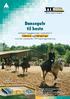 Dansegulv til heste. Intelligent byggekoncept i topkvalitet til ridebaner og indhegninger med den anerkendte TTE -bærelagserstatning