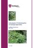 Indsatsplan til bekæmpelse af Kæmpe-bjørneklo. Syddjurs Kommune 2010-2020
