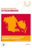 BESKÆFTIGELSESREGION SYDDANMARK STRUKTURANALYSE AF 5 JYSKE KOMMUNER I SYDDANMARK. overvågning af arbejdsmarkedet Syddanmark