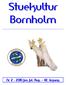 Stuekultur Bornholm. Nr. 2-2010 Jun. Jul. Aug. 42. årgang