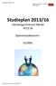 Studieplan 2013/16 Handelsgymnasium Rønde Hf13-16