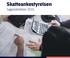 Skatteankestyrelsen. Sagsstatistikker 2015