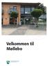 Velkommen til Møllebo
