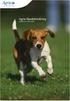 FORSIKRINGSBETINGELSER HUNDEFORSIKRING Hundeansvar og hundesyge. Forsikringsbetingelser nr. 0006