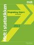 Midt i statistikken. Ringkøbing-Skjern Kommune. Region Midtjylland. Regional Udvikling