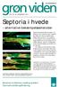 Septoria i hvede alternative bekæmpelsesmetoder