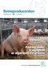 35 grise pr. årsso: Hvilke krav stiller det til fodring af polte og søer?
