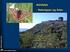 Bilag 1. Tålegrænser for Naturbeskyttelseslovens terrestriske naturtyper samt løv- og nåleskov