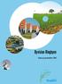 Byvision Ringbyen Status og perspektiver 2010