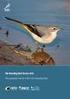 af Ole Thorup Ynglefugle i Vadehavet 2005 Danmarks Miljøundersøgelser Afd. for Vildtbiologi og Biodiversitet