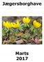 Jægersborghave Marts 2017