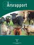 DANSK KØDKVÆG Årsrapport