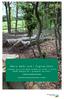 Mere dødt ved i Fuglsø Skov. -skabe og overvåge biodiversitet i stort dødt bøgetræ i gammel løvskov. J Reddersen, Nationalpark Mols Bjerge