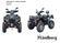 LINHAI 500 ATV & Reservedele Spareparts