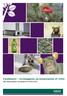 Handleplan forebyggelse og bekæmpelse af rotter