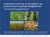 Livscyklusvurdering af økologiske og konventionelle planteavlssædskifter