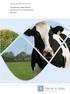 Miljøgodkendelse. Udvidelse af kvægproduktion Darumvej 74 A, 6740 Bramming Maj 2013