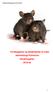 Rottehandlingsplan Forebyggelse og bekæmpelse af rotter Jammerbugt Kommune Handlingsplan