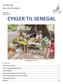 Grønsagsbod i Faoune. Medlemskab og kontakt Cykler til Senegals generalforsamling Projektopfølgning... 4