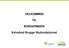 VELKOMMEN TIL BORGERMØDE. Kalvebod Brygge Skybrudstunnel