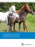 Vejledning: Hestehold i Haderslev Kommune